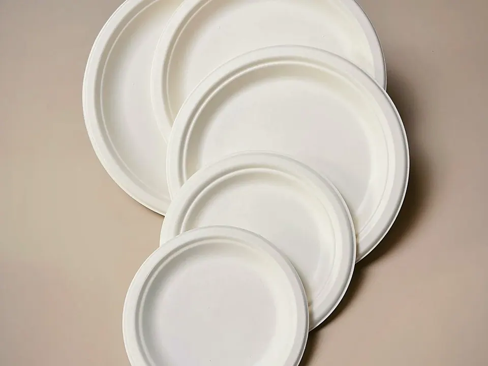 Bagasse Tableware