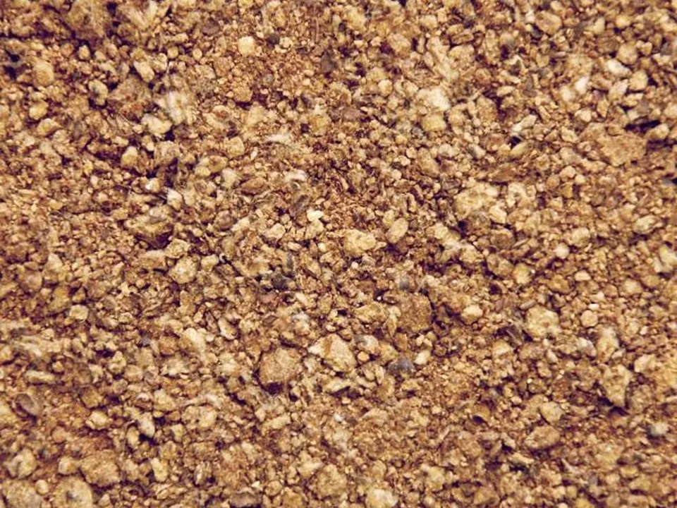 Cotton Seed DOC