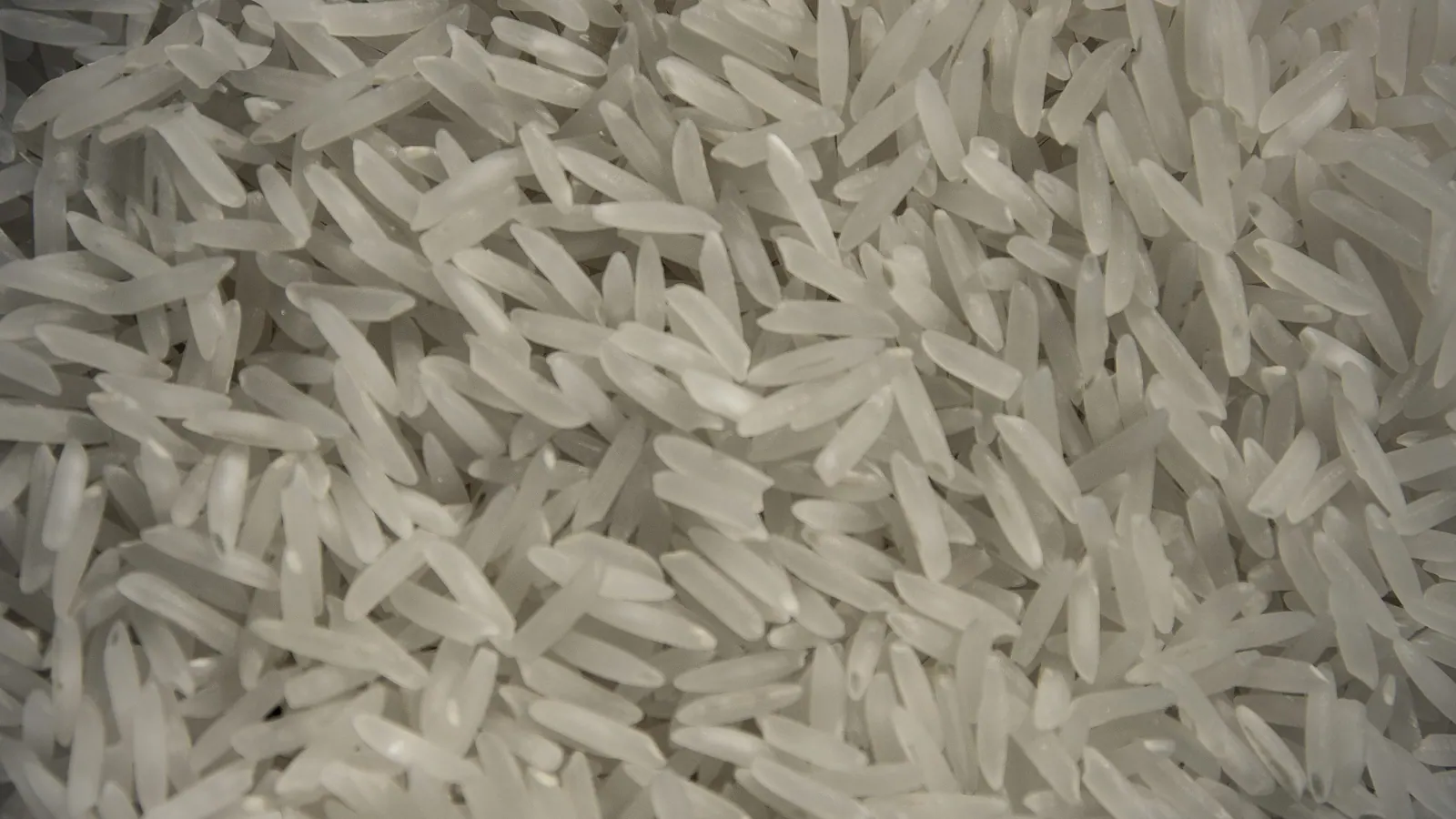 Long-grain rice at close range