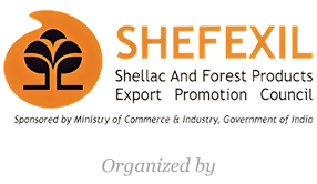 SHEFEXIL